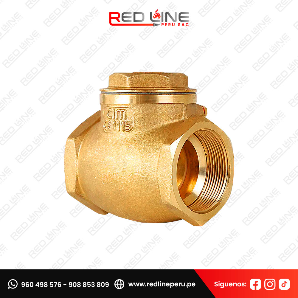 Válvula check swing de bronce Cim